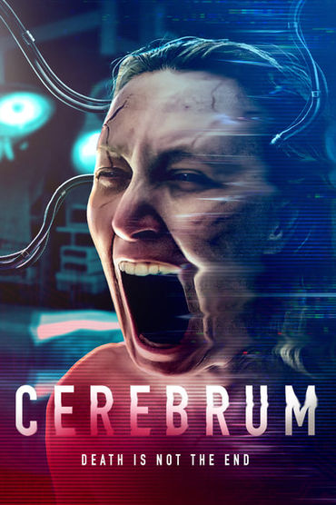 Cerebrum